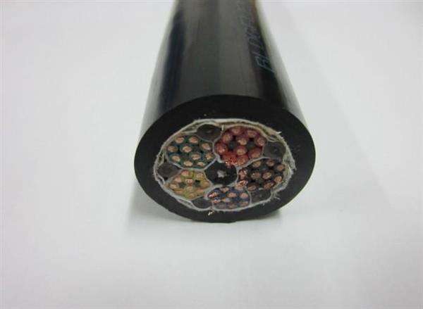 DJYPVP總屏蔽控制線(xiàn)DJYPVP計(jì)算機(jī)電纜